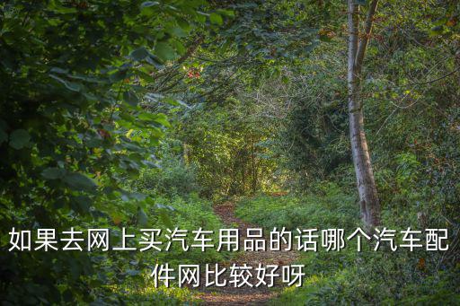 汽车配件网上和汽配城哪个质量好，如果去网上买汽车用品的话哪个汽车配件网比较好呀