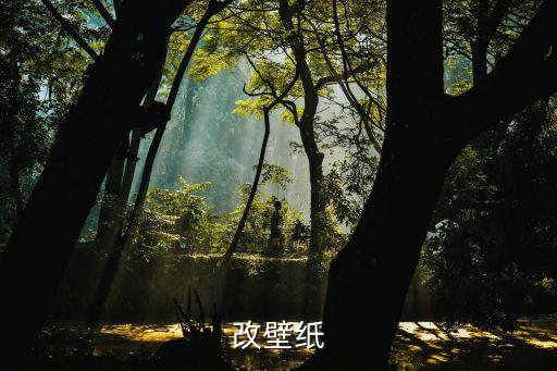 霸道改装图片大全，我想一个霸气图片男生