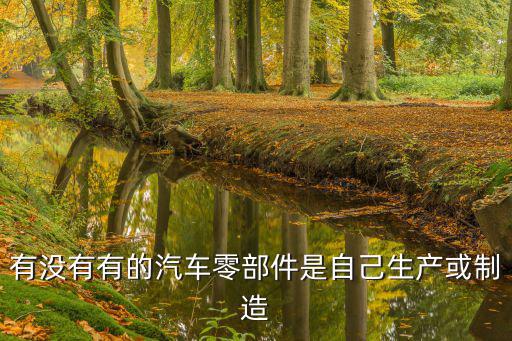 有没有有的汽车零部件是自己生产或制造