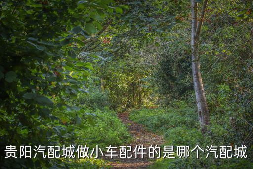 贵阳汽配城做小车配件的是哪个汽配城