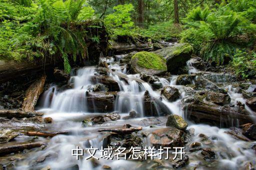 中文域名怎样打开