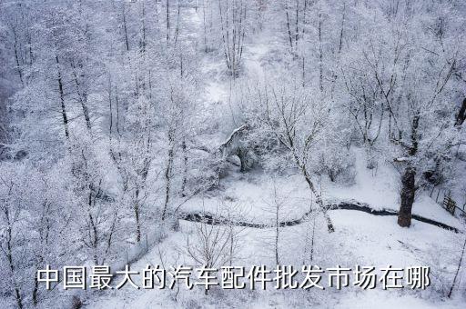 哪里有汽配批发大市场，中国最大的汽车配件批发市场在哪