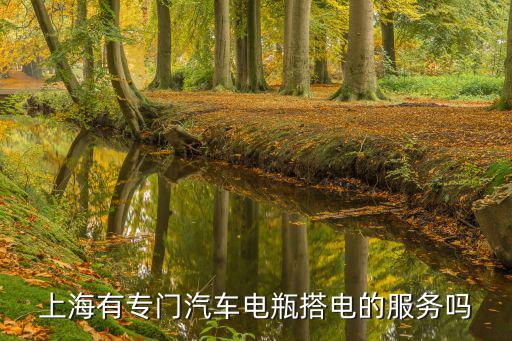 上海有专门汽车电瓶搭电的服务吗
