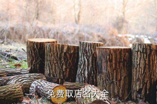 免费取店名大全