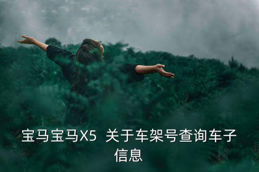 宝马官网vin查询，宝马VINWBAKB4106AC629607是那款车