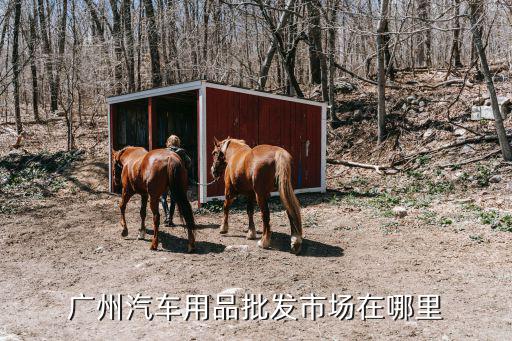 广州汽车用品批发市场在哪里