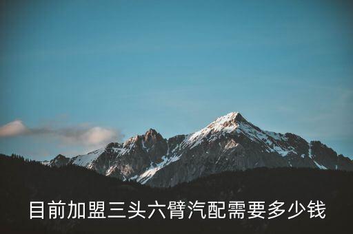 目前加盟三头六臂汽配需要多少钱