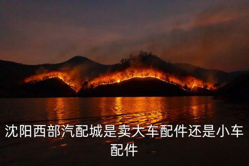 汽配城是卖配件吗，沈阳西部汽配城是卖大车配件还是小车配件