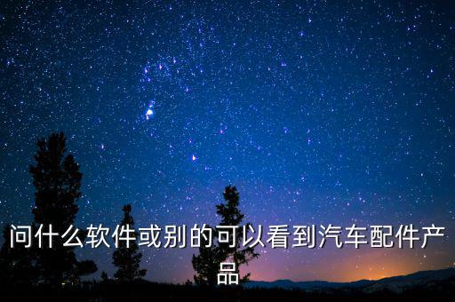 汽配的软件，我做汽配20年了在90年代我就开始用汽配管理软件了当时很多人