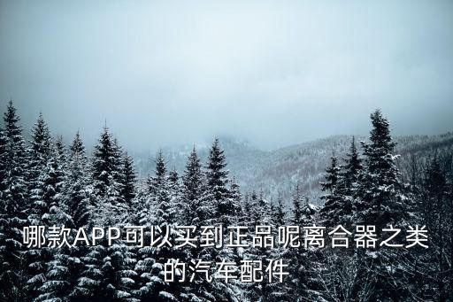 哪款APP可以买到正品呢离合器之类的汽车配件