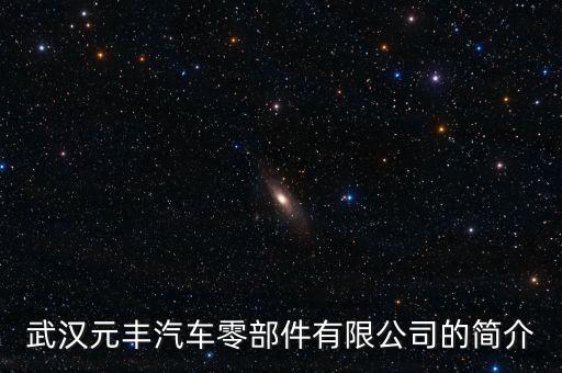 武汉元丰汽车零部件有限公司的简介