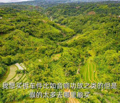 我想买拆车件比如音响功放之类的但是假的太多去哪里能买