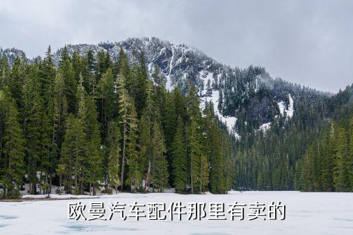 欧曼汽车配件那里有卖的