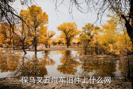 保马叉五汽车旧件上什么网