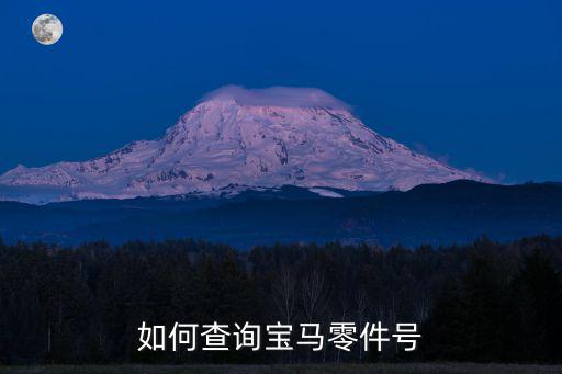 如何查询宝马零件号