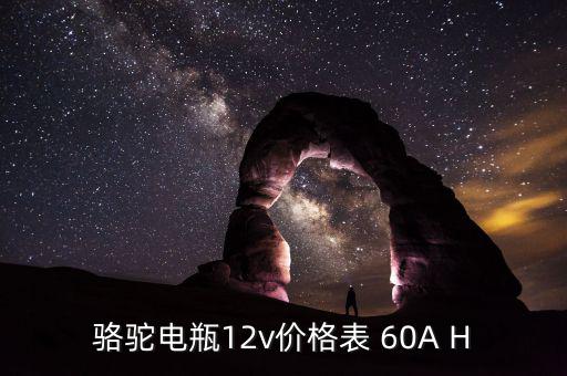 骆驼电瓶12v价格表 60A H