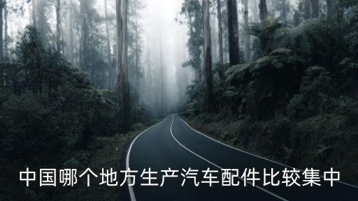 中国哪个地方生产汽车配件比较集中