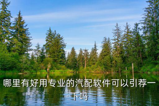 哪里有好用专业的汽配软件可以引荐一下吗