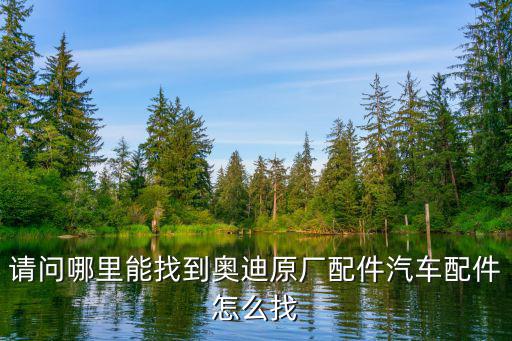 请问哪里能找到奥迪原厂配件汽车配件怎么找