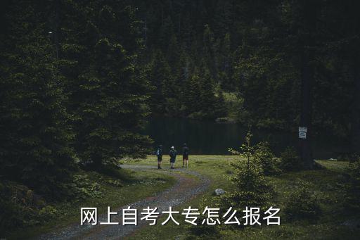 网上自考大专怎么报名