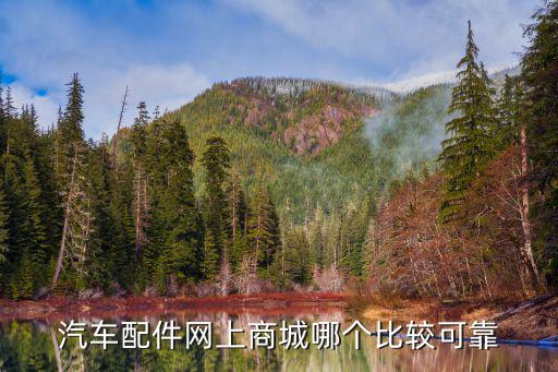 买汽车配件去哪个网站最好呢，如果去网上买汽车用品的话哪个汽车配件网比较好呀