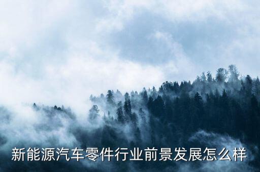 新能源汽车零件行业前景发展怎么样