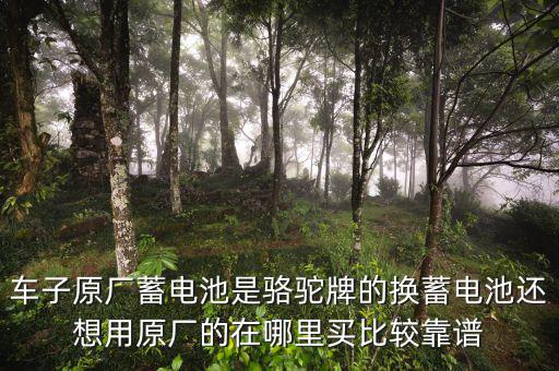 车子原厂蓄电池是骆驼牌的换蓄电池还想用原厂的在哪里买比较靠谱