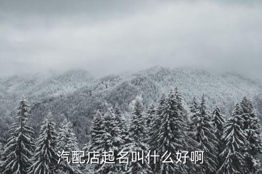 汽配店起名叫什么好啊
