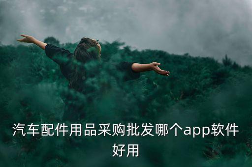买汽车配件在什么软件上好，自己想从网上买汽车配件去哪个网站买