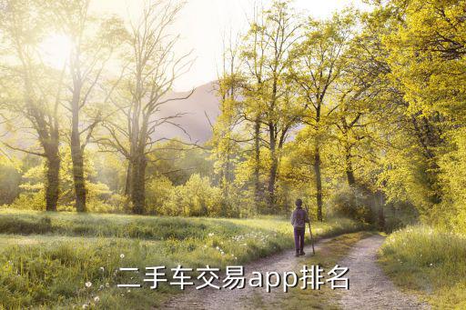 二手车交易app排名