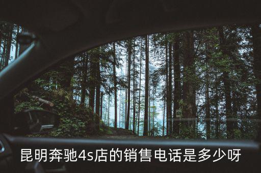 昆明奔驰4s店的销售电话是多少呀