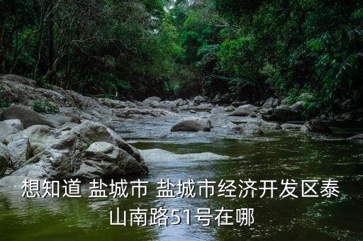 想知道 盐城市 盐城市经济开发区泰山南路51号在哪