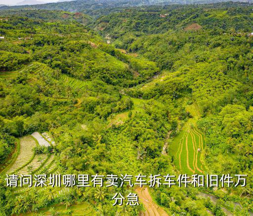 深圳市拆车件市场，深圳拆车件市场在哪里