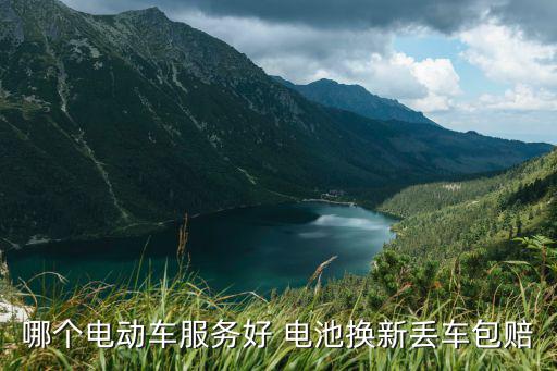 哪个电动车服务好 电池换新丢车包赔
