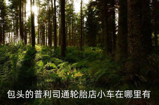 包头的普利司通轮胎店小车在哪里有