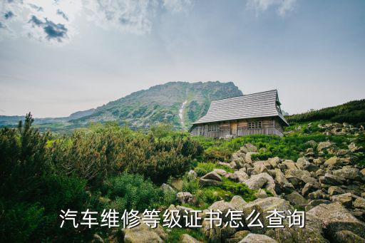 汽修证书查询官网网址，2013年汽车修理工证书怎么查