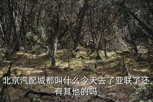 北京汽配城网上商城APP，北京卖货车配件汽配城