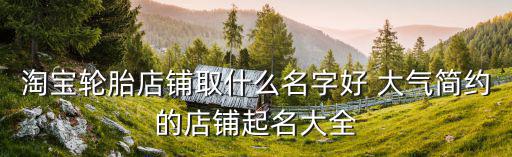 淘宝轮胎店铺取什么名字好 大气简约的店铺起名大全