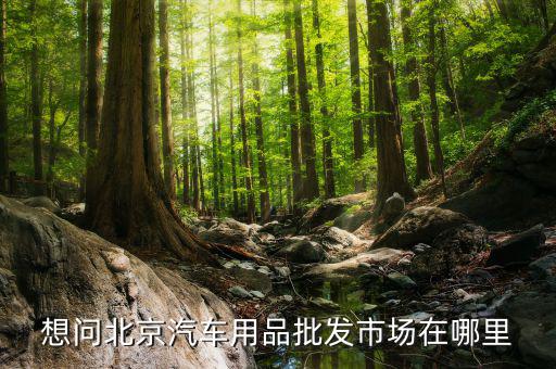 想问北京汽车用品批发市场在哪里