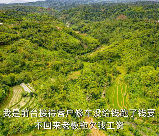 我是前台接待客户修车没给钱跑了钱要不回来老板拖欠我工资
