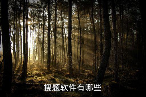 搜题软件有哪些