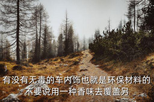 有没有无毒的车内饰也就是环保材料的不要说用一种香味去覆盖另