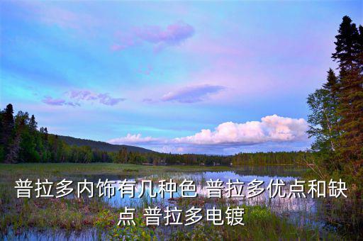 普拉多内饰有几种色 普拉多优点和缺点 普拉多电镀