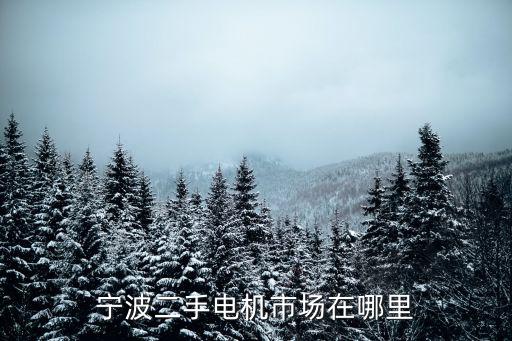 宁波二手电机市场在哪里