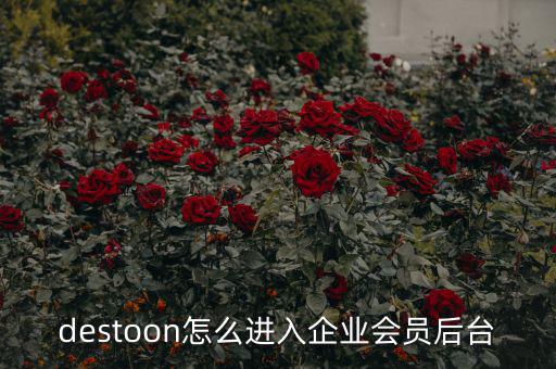 开思汽配平台怎么加入公司，公司可以和你们闪送平台合作吗我有车有司机怎么加盟