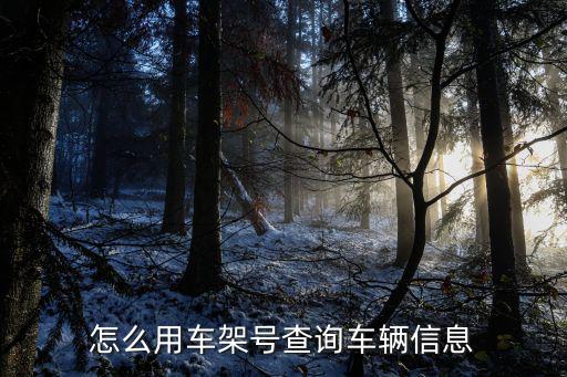 车架号怎么查询车辆信息免费，有了车架号怎么查车子信息