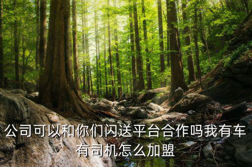 公司可以和你们闪送平台合作吗我有车有司机怎么加盟