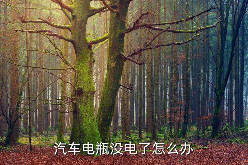 汽车电瓶没电了怎么办