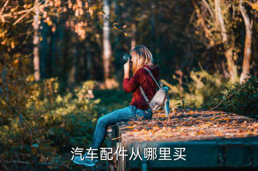 广东二手汽车配件，广东省中山市哪有汽配城或者经营汽车配件比较集中的地方