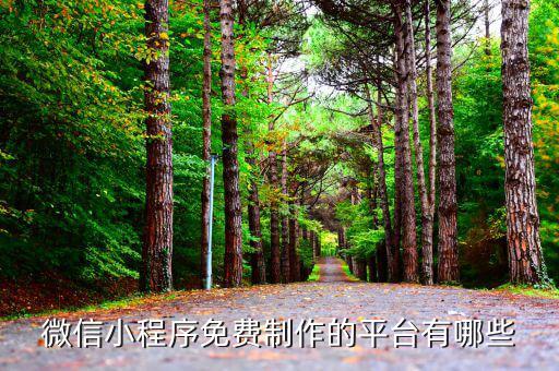 微信小程序免费制作的平台有哪些